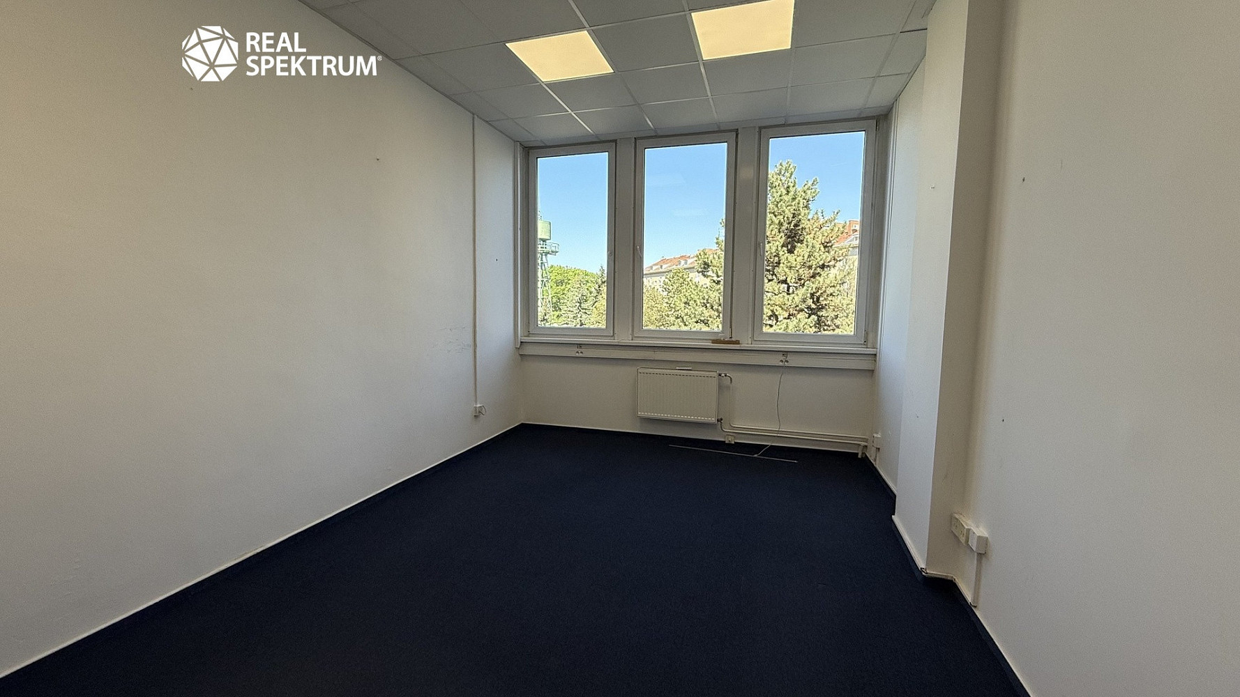 Pronájem kanceláře 258 m² – fotografie 4