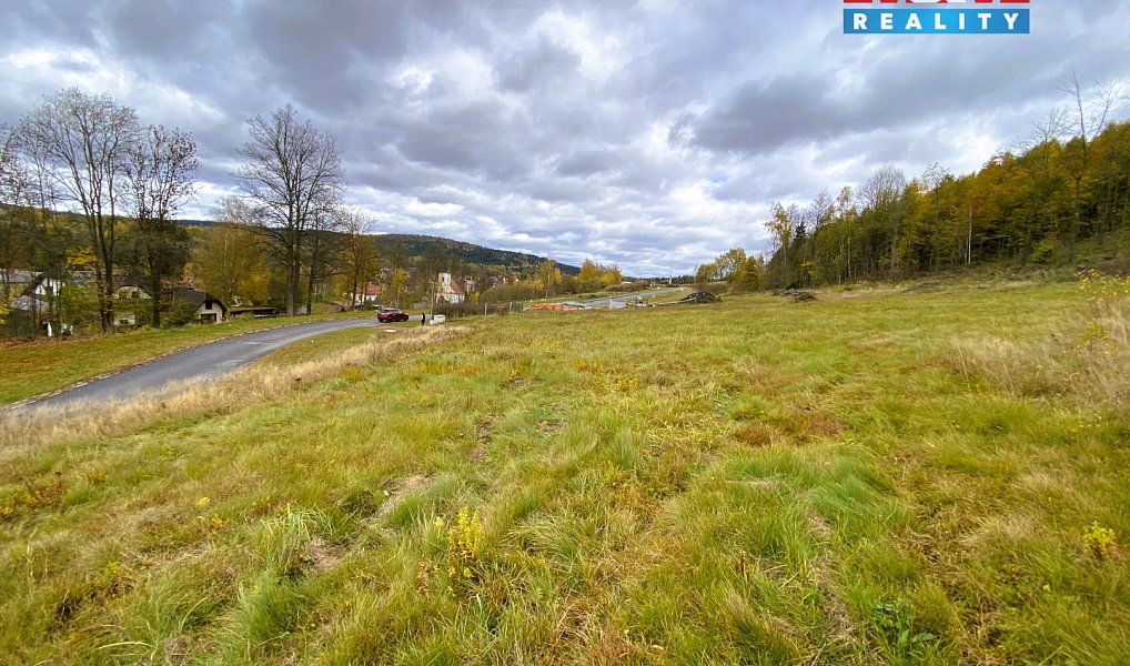 Prodej stavebního pozemku 2 385 m², Sázava – náhled fotky 4