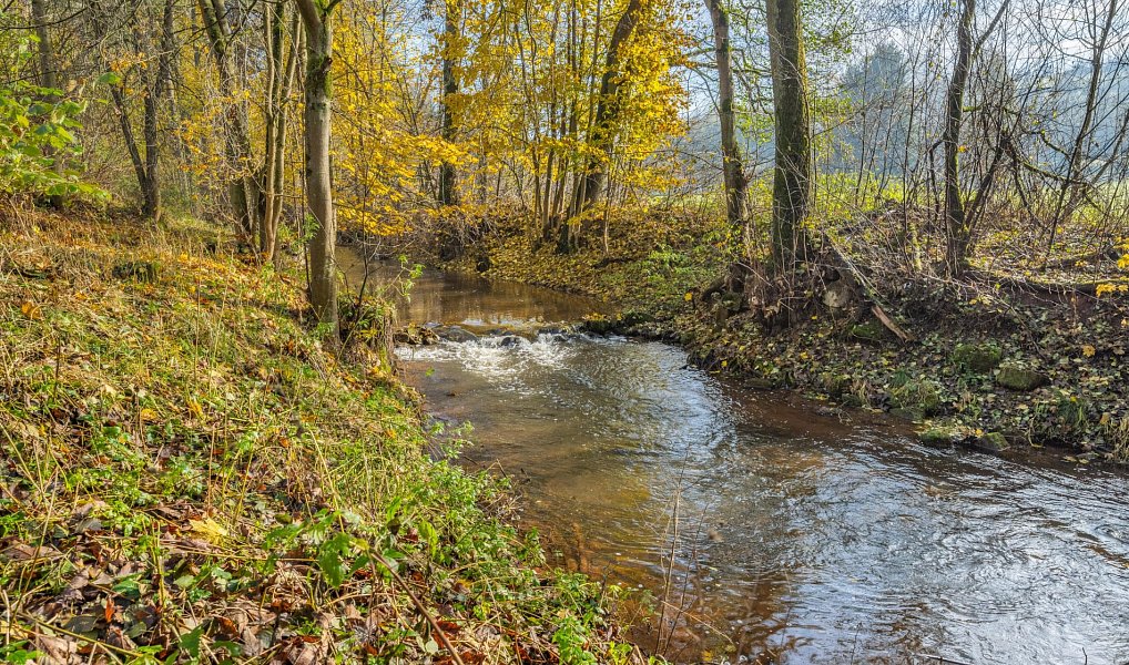 Prodej domu 142 m² s pozemkem 3 070 m², Chotěvice – náhled fotky 31