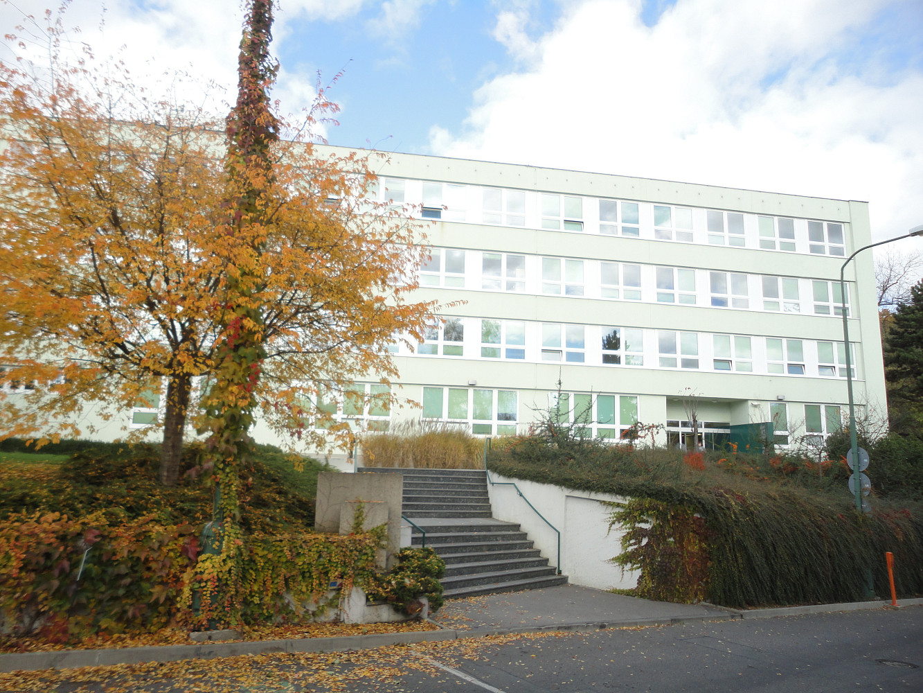 Pronájem kanceláře 500 m²