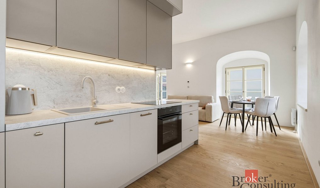 Pronájem bytu 1+kk 48 m², Jince – náhled fotky 7