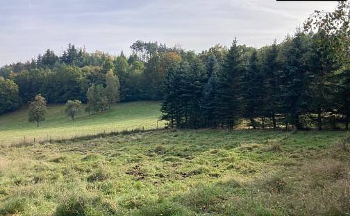 Prodej stavebního pozemku 1 390 m², Děčín