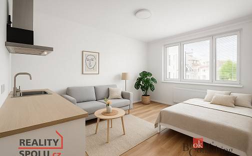 Prodej bytu 1+kk 35 m², Vranovská, Brno - Zábrdovice