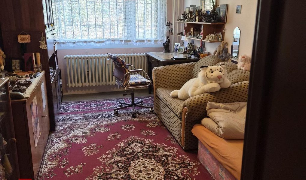 Prodej bytu 4+1 90 m², Praha – náhled fotky 13
