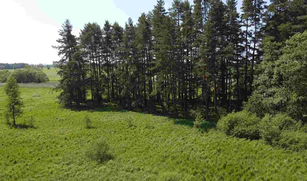 Prodej pozemku 20 535 m², Jílovice – náhled fotky 2