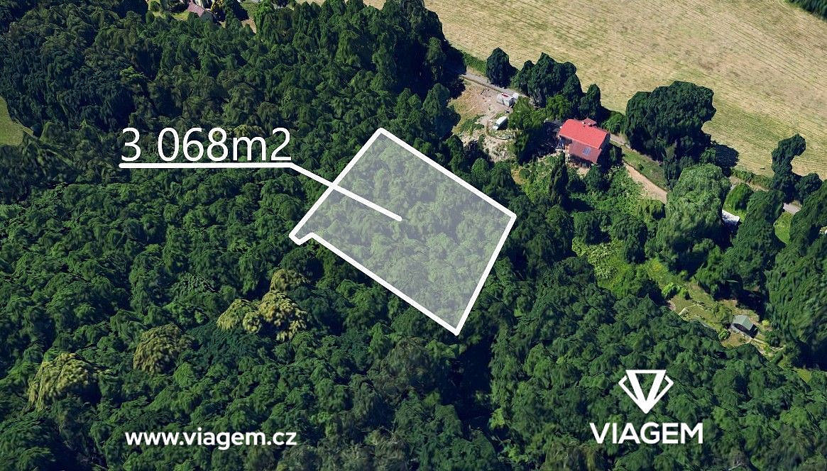 Prodej lesa 306 m² – fotografie 3