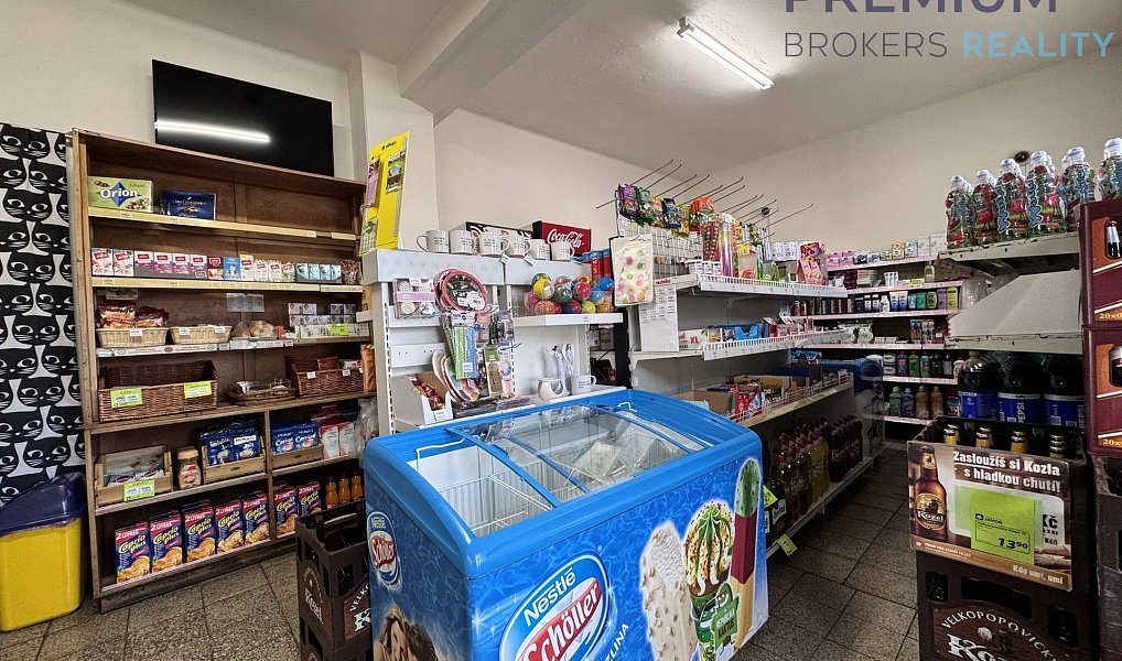 Pronájem obchodních prostor 90 m², Žatec – náhled fotky 9