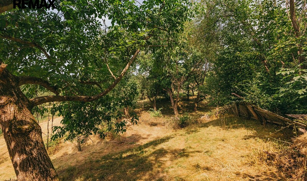 Prodej domu 192 m² s pozemkem 2 495 m², Dlouhá Loučka – náhled fotky 19