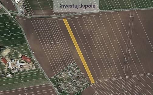 Prodej pole 8 428 m², Telnice, okres Brno-venkov