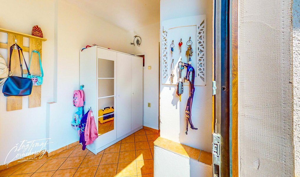 Prodej domu 168 m² s pozemkem 391 m², Černovice – náhled fotky 34