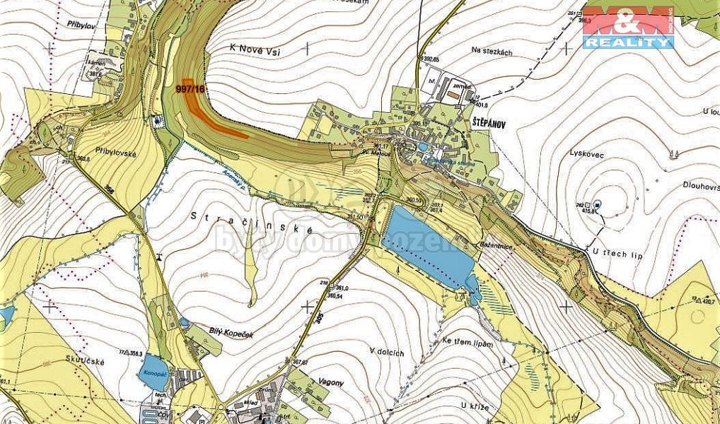 Prodej lesa 8 078 m², Skuteč – náhled fotky 2