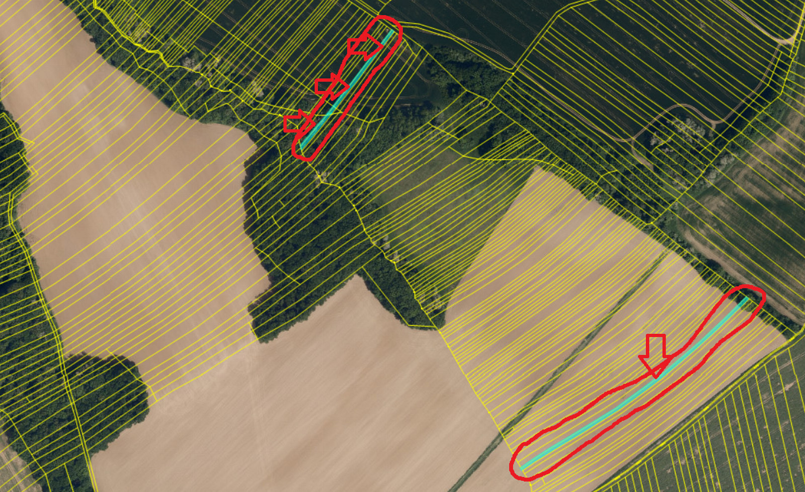 Prodej pole 2 190 m² — photo 2