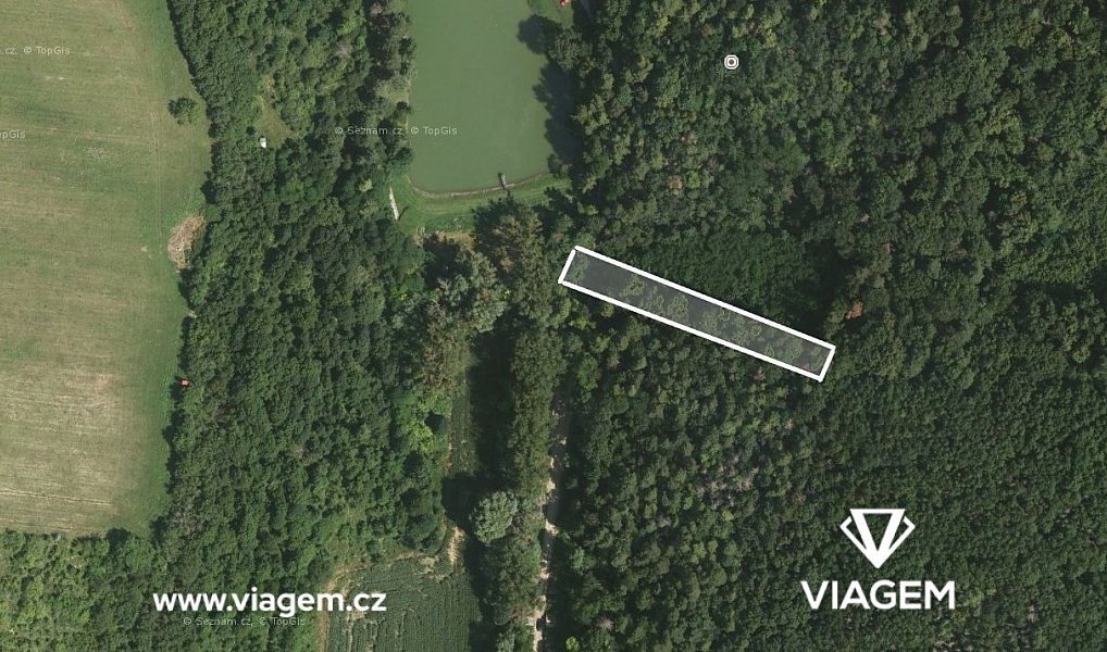 Prodej lesa 350 m², Žarošice – náhled fotky 2