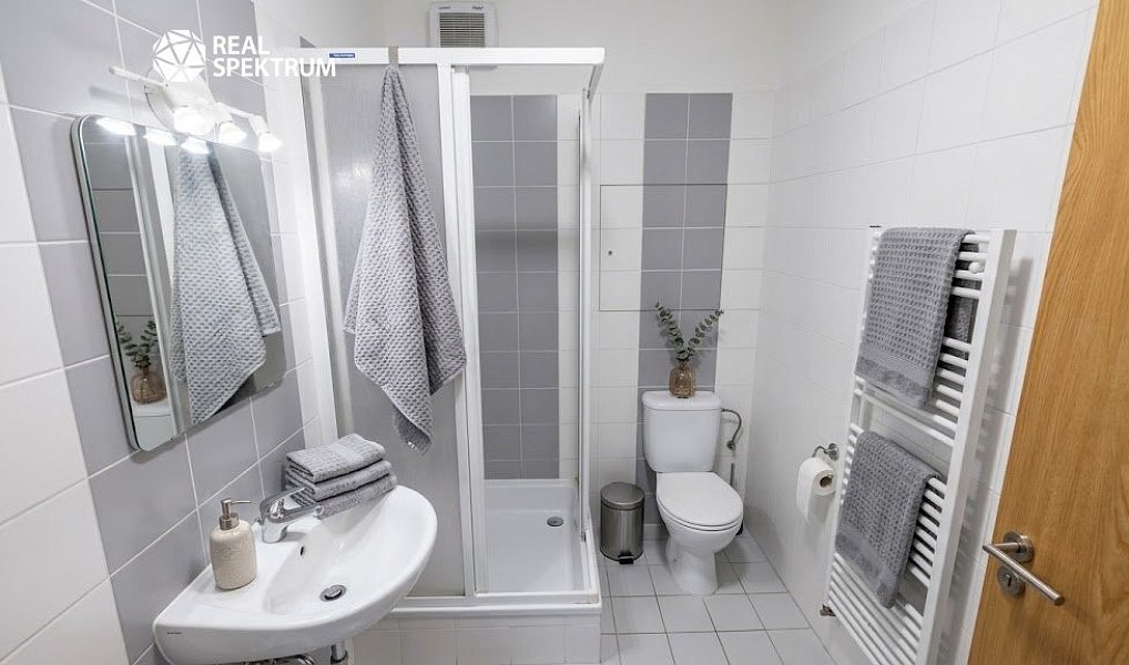 Pronájem bytu 1+kk 38 m², Brno – náhled fotky 4
