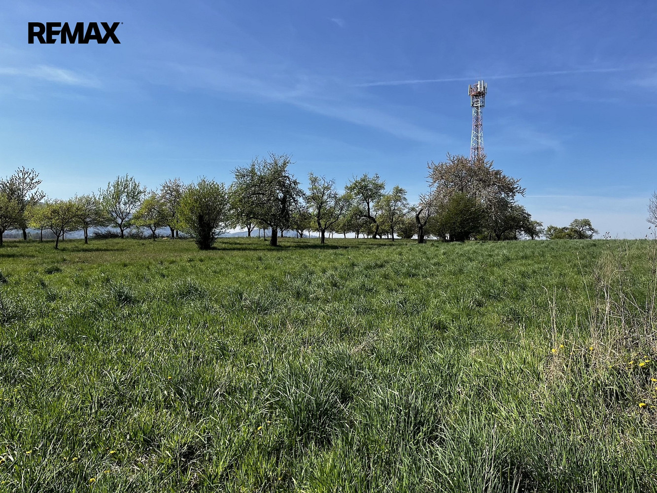 Pronájem pozemku 7 559 m²