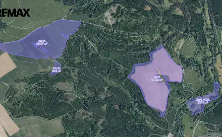 Prodej pole 290 475 m², Planá, okres Tachov