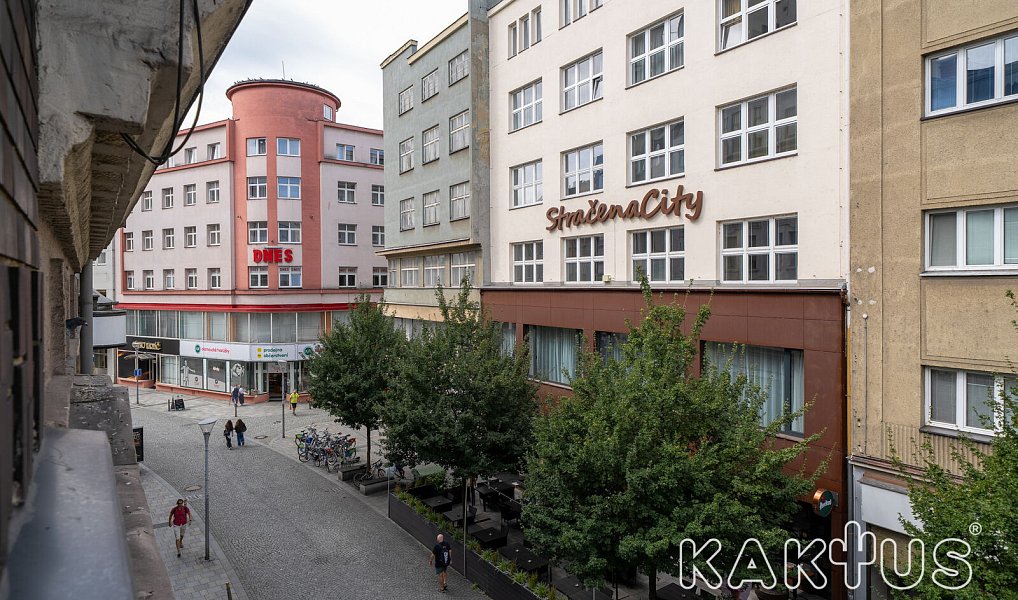 Pronájem bytu 1+kk 33 m², Ostrava – náhled fotky 14