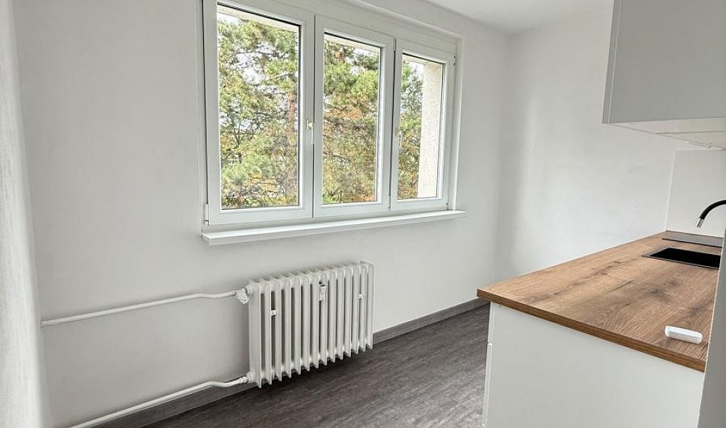 Pronájem bytu 2+1 55 m², Bílina – náhled fotky 5