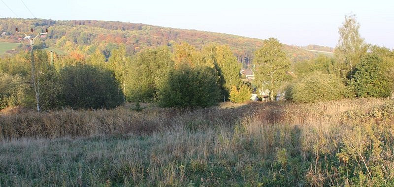 Prodej komerčního pozemku 12 121 m² – fotografie 2