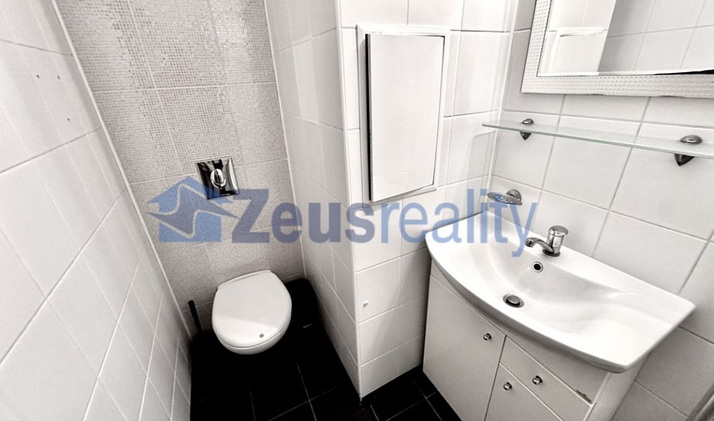 Pronájem bytu 2+1 65 m², Praha – náhled fotky 11
