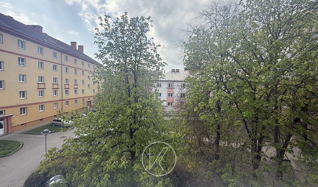 Pronájem bytu 1+1 28 m², Plzeň – náhled fotky 13