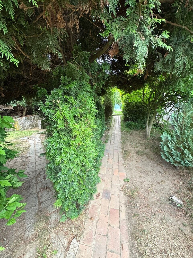 Prodej chaty/chalupy 15 m² s pozemkem 437 m² – fotografie 3