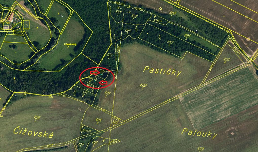 Prodej lesa 1 640 m², Horní Bříza – náhled fotky 2