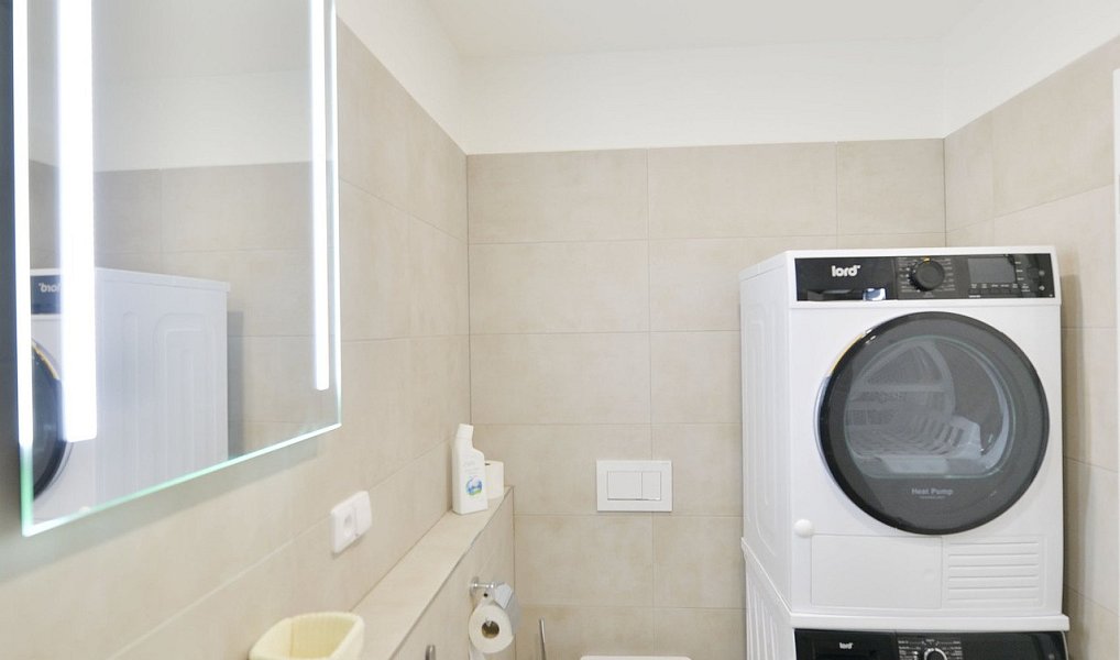 Pronájem bytu 1+kk 50 m², České Budějovice – náhled fotky 11