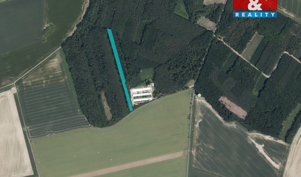 Prodej lesa 8 906 m², Městec Králové – náhled fotky 4
