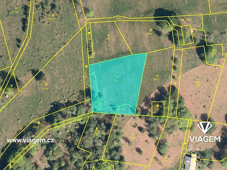 Pole 2 250 m², Podíl 33 % o výměře 750 m² – pohled 3