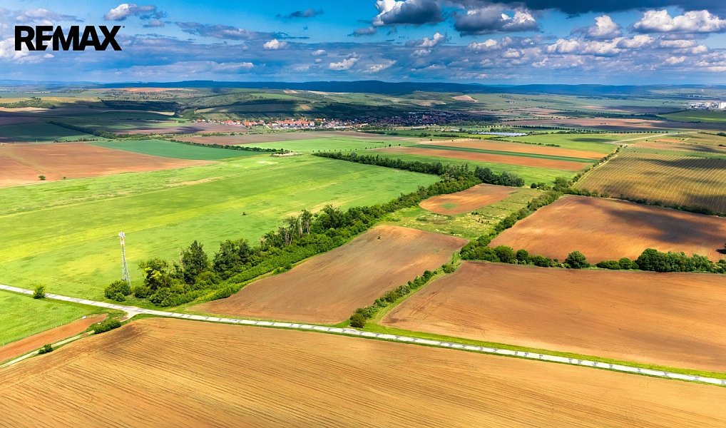 Prodej pole 72 617 m², Pouzdřany – náhled fotky 11