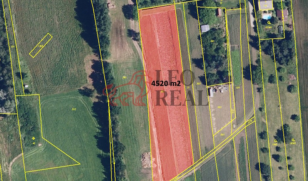 Prodej zahrady 7 441 m², Bohuslavice – náhled fotky 2