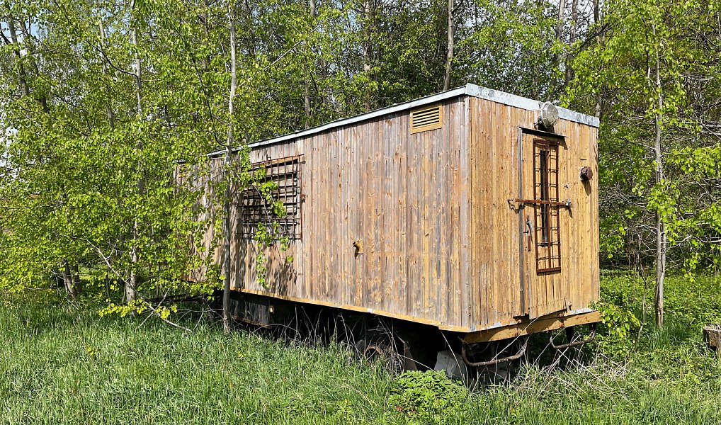 Prodej zahrady 2 826 m², Číhošť – náhled fotky 6