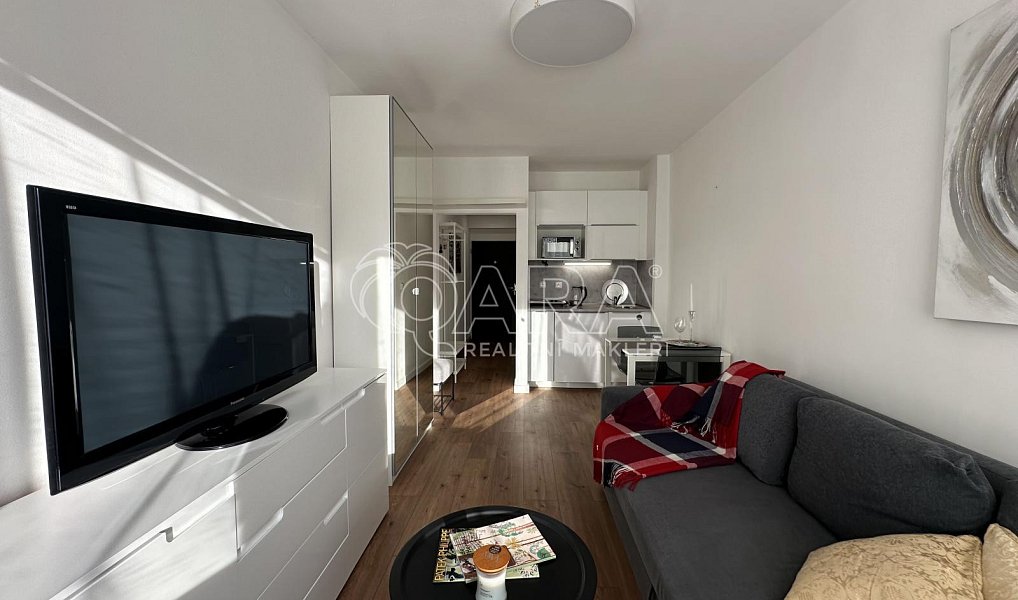 Pronájem bytu 1+kk 23 m², Praha – náhled fotky 5