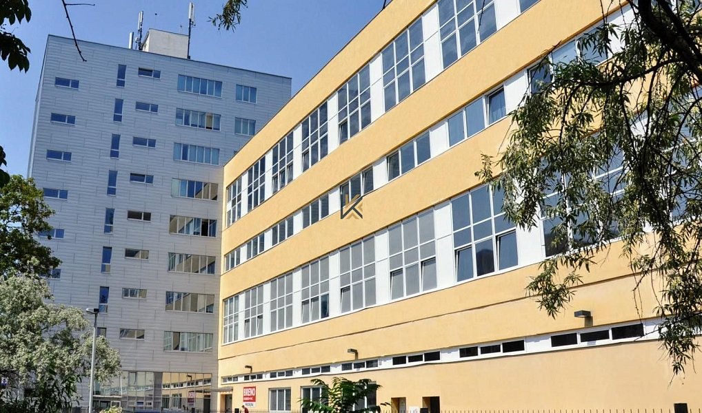 Pronájem kanceláře 313 m², Praha – náhled fotky 6