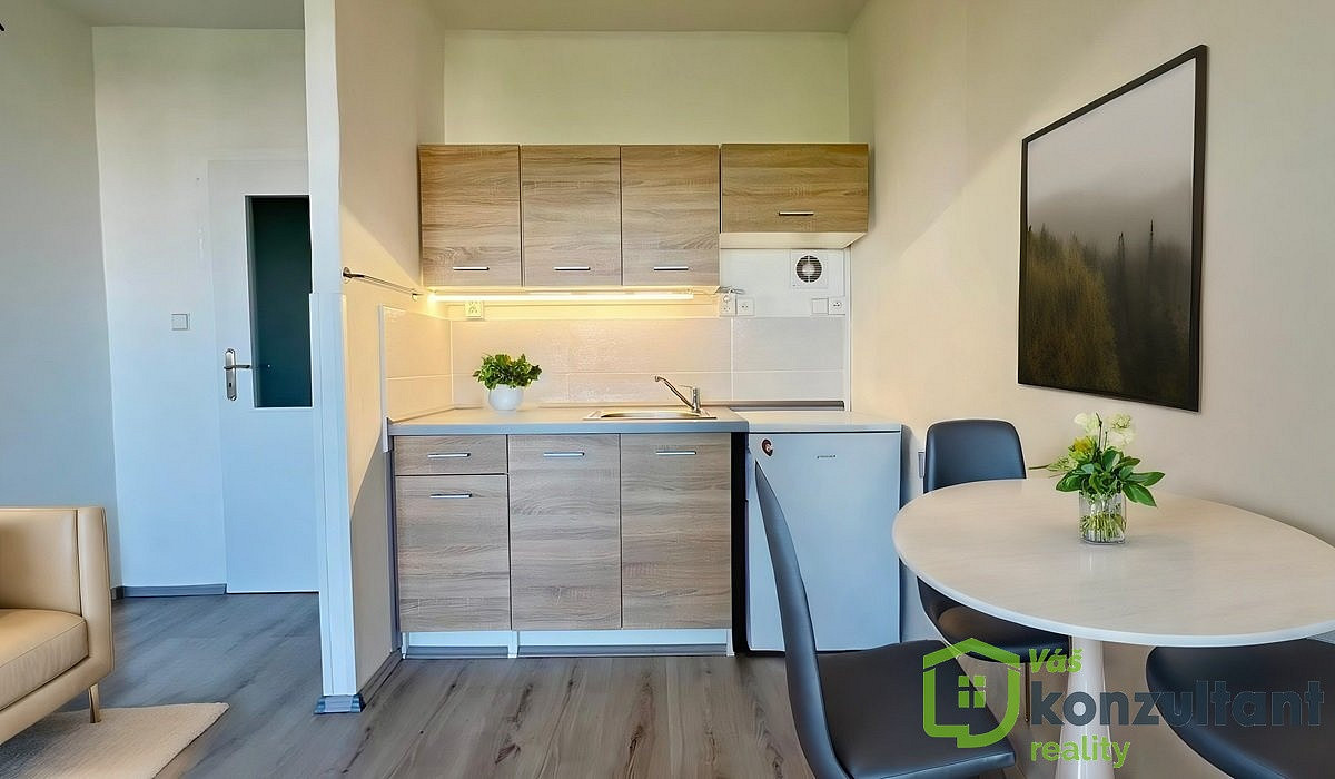 Pronájem bytu 1+kk 28 m² – fotografie 3