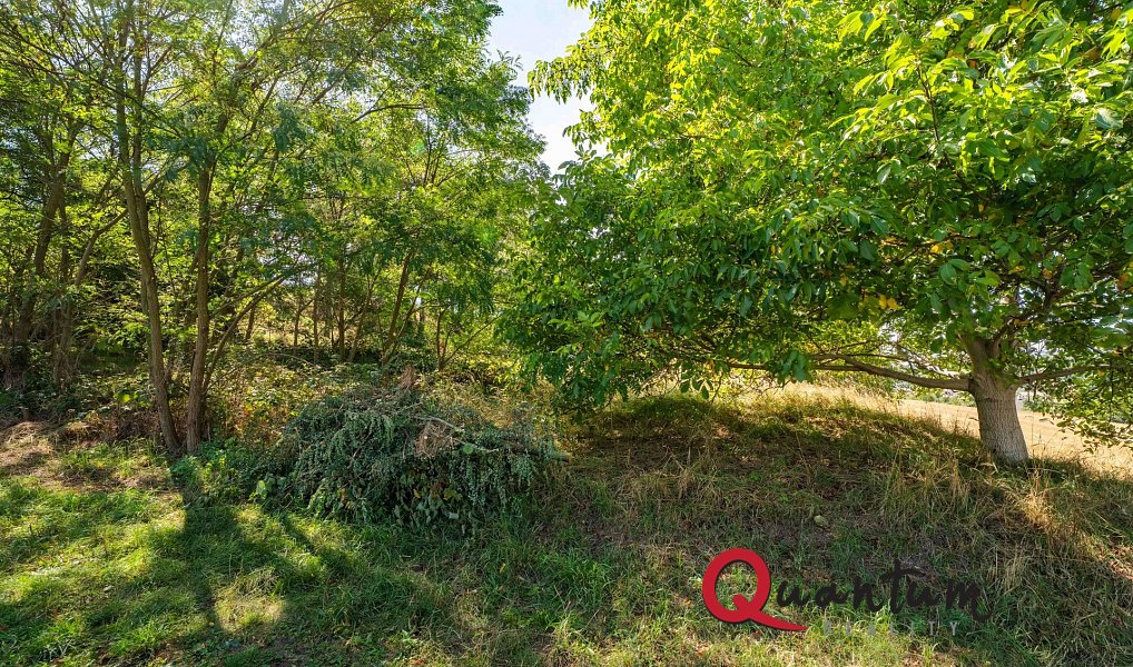 Prodej stavebního pozemku 16 339 m², Brandýsek – náhled fotky 49