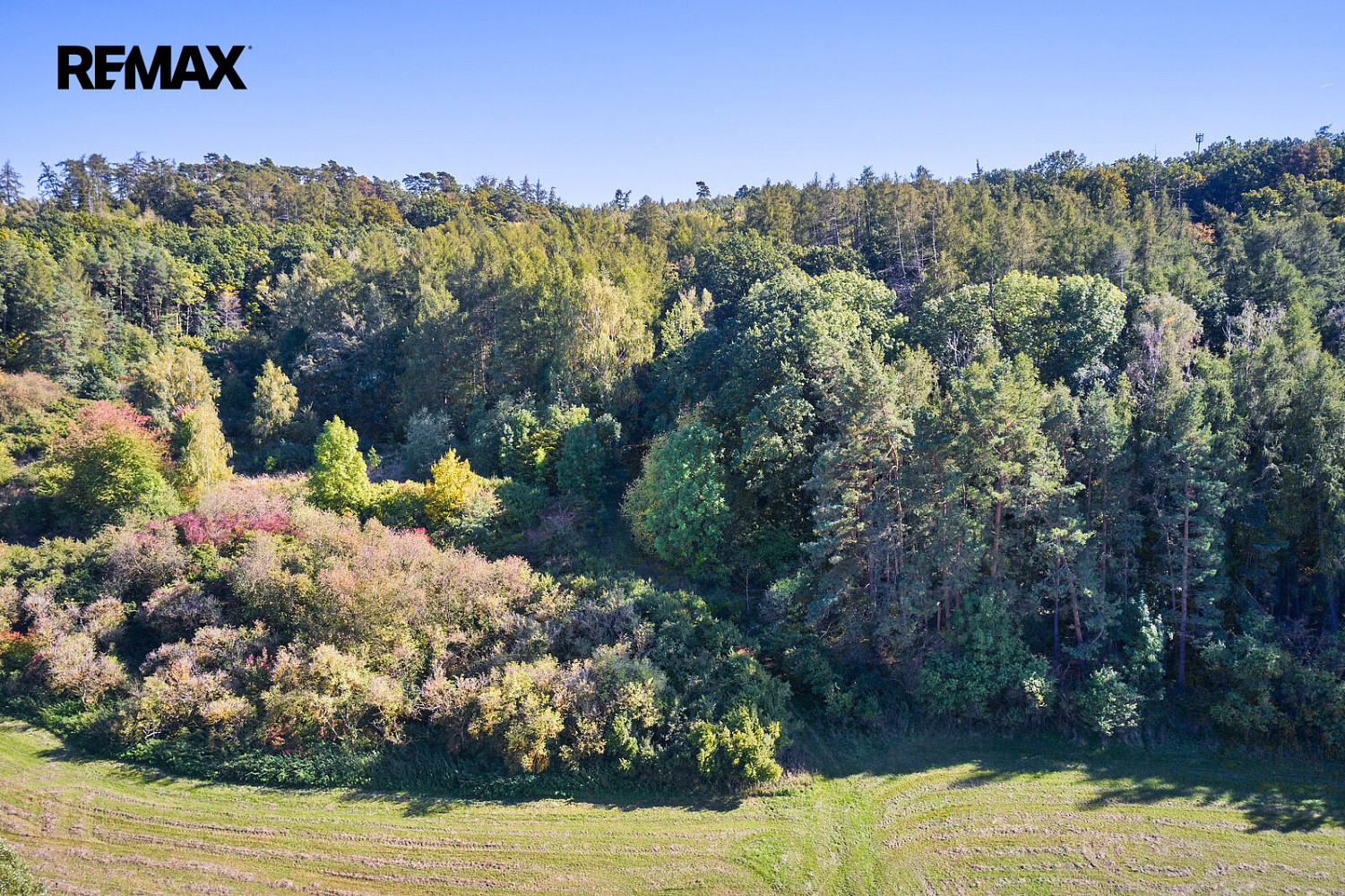 Prodej lesa 31 440 m² – fotografie 3