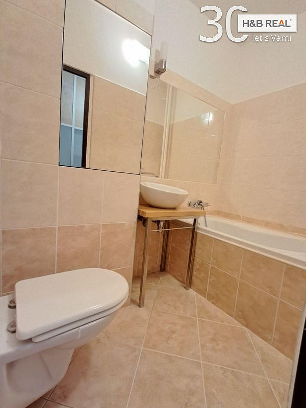 Pronájem bytu 2+1 51 m² – fotografie 5
