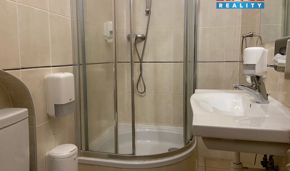 Pronájem bytu 4+kk 110 m², Plzeň – náhled fotky 5