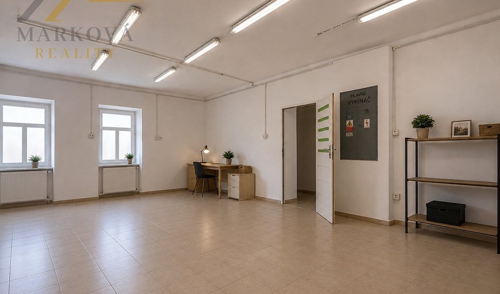 Prodej komerčního objektu (jiného typu) 194 m², Týn nad Vltavou – náhled fotky 8