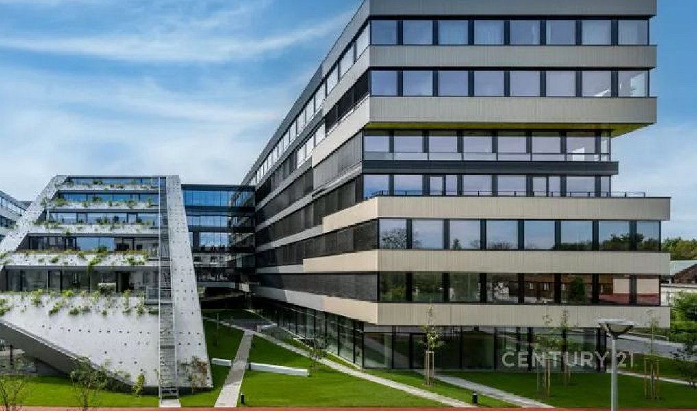 Pronájem kanceláře 439 m², Praha – náhled fotky 4