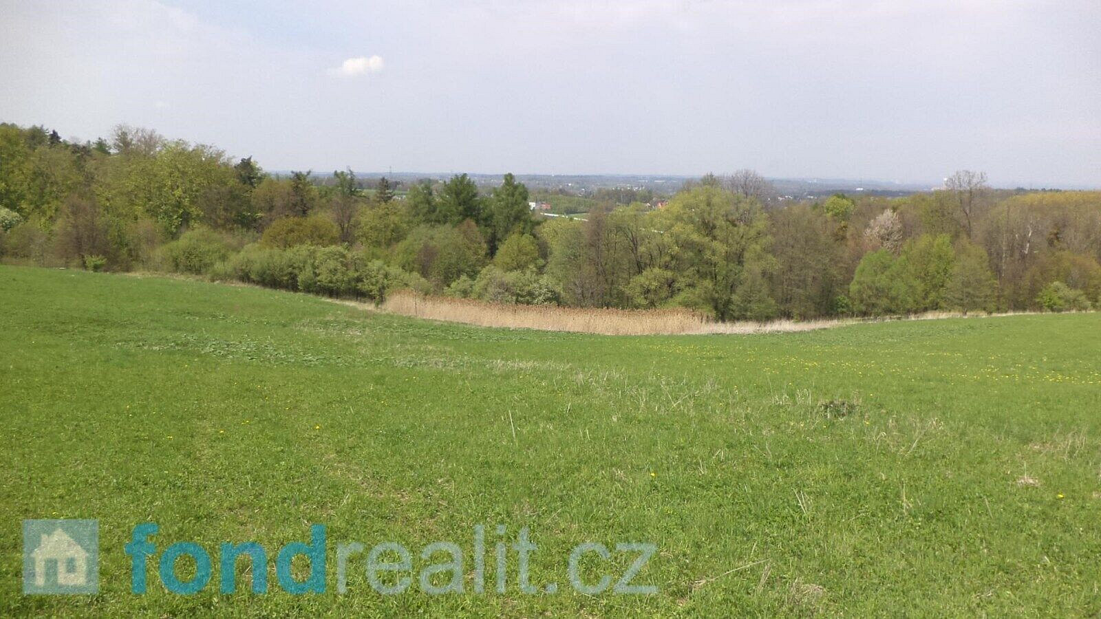 Prodej pole 8 787 m² – fotografie 3