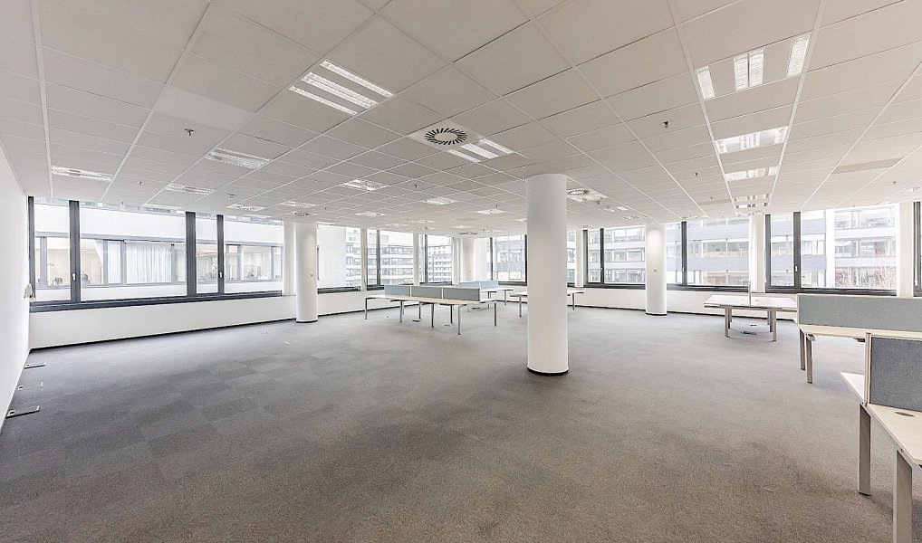 Pronájem kanceláře 793 m², Ostrava – náhled fotky 3