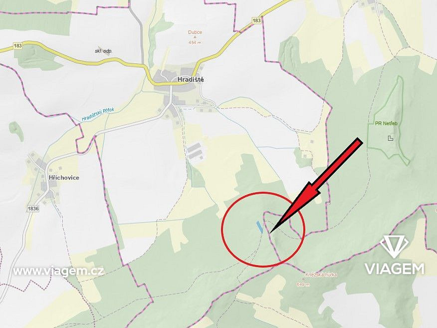 Prodej lesa 4 087 m² – pohled 4