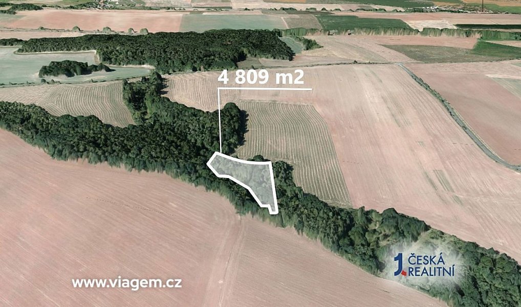 Prodej lesa 2 404 m², Pozdeň – náhled fotky 2
