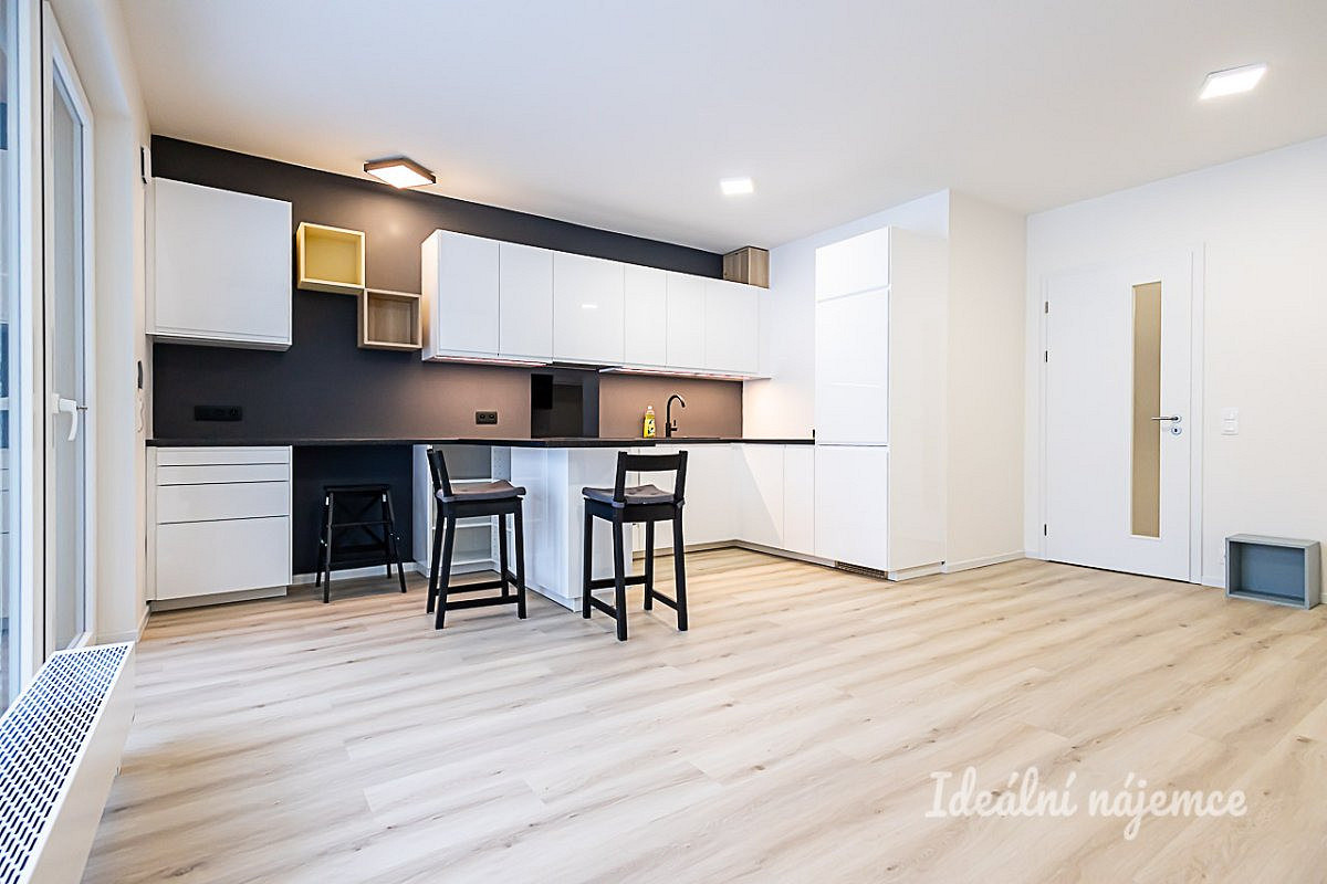 Pronájem bytu 1+kk 40 m² – fotografie 2