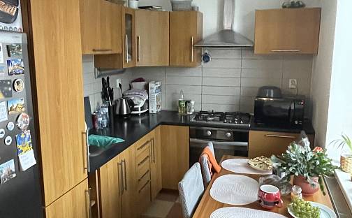 Pronájem bytu 2+kk 54 m², Sladová, Břeclav