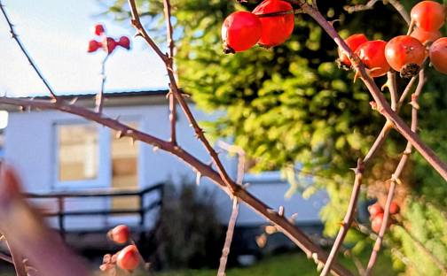 Prodej domu 45 m² s pozemkem 304 m², Luční, Rokycany - Nové Město