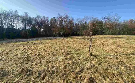 Prodej pole 5 206 m², Karlovice, okres Semily